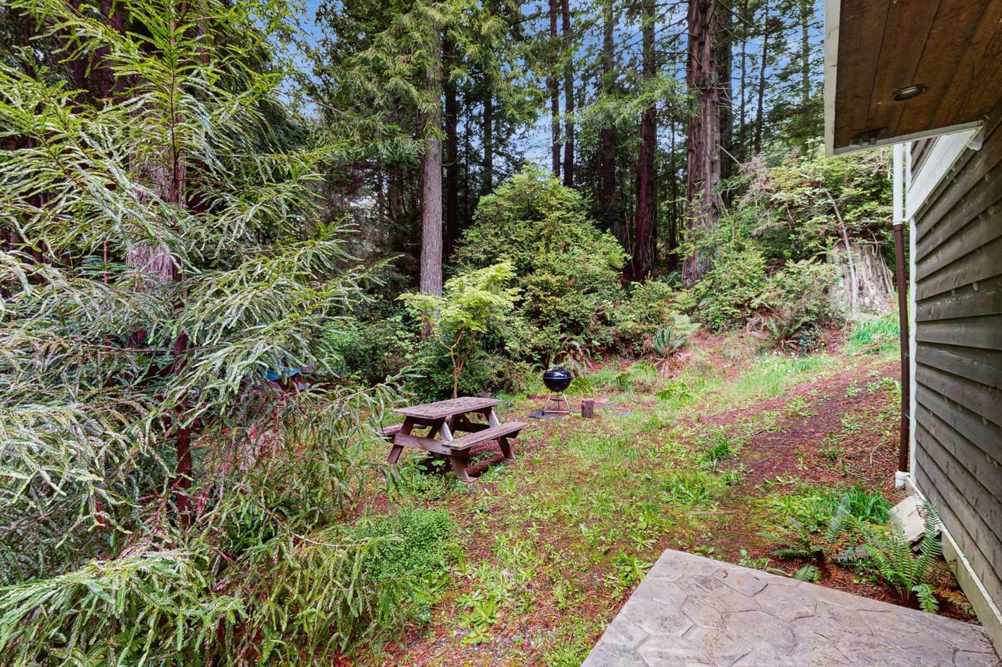 Serene Redwood Retreat 아르카타 외부 사진